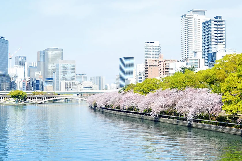 川沿いに桜が咲く大阪の街並み