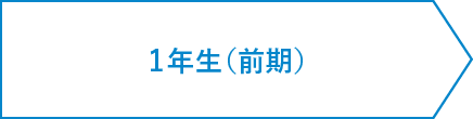 2年間のスケジュール