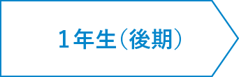 2年間のスケジュール