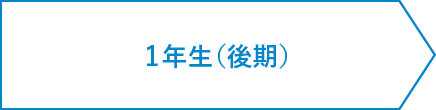 2年間のスケジュール