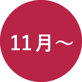 11月