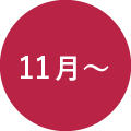 11月