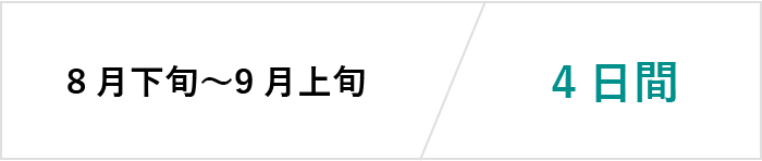 学外実習4日間