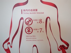 写真⑦