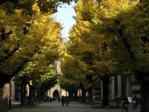 圧縮：※03.東京大学〔本郷〕構内